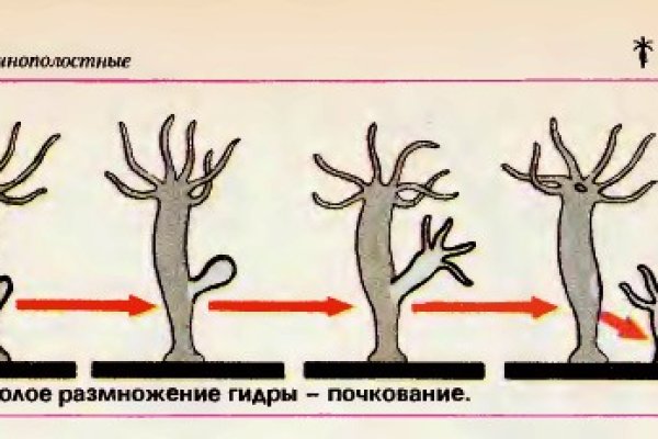 Зеркала сайта кракен tor